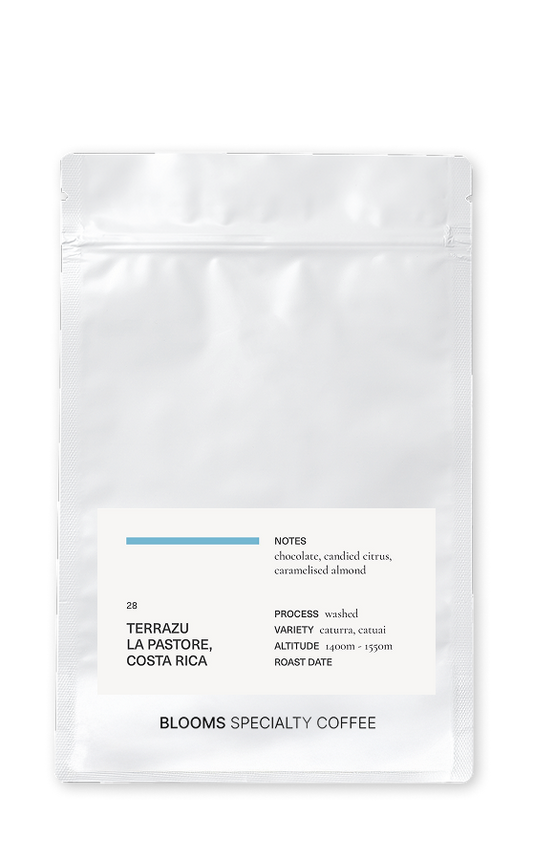 קוסטה ריקה לה-פסטורה