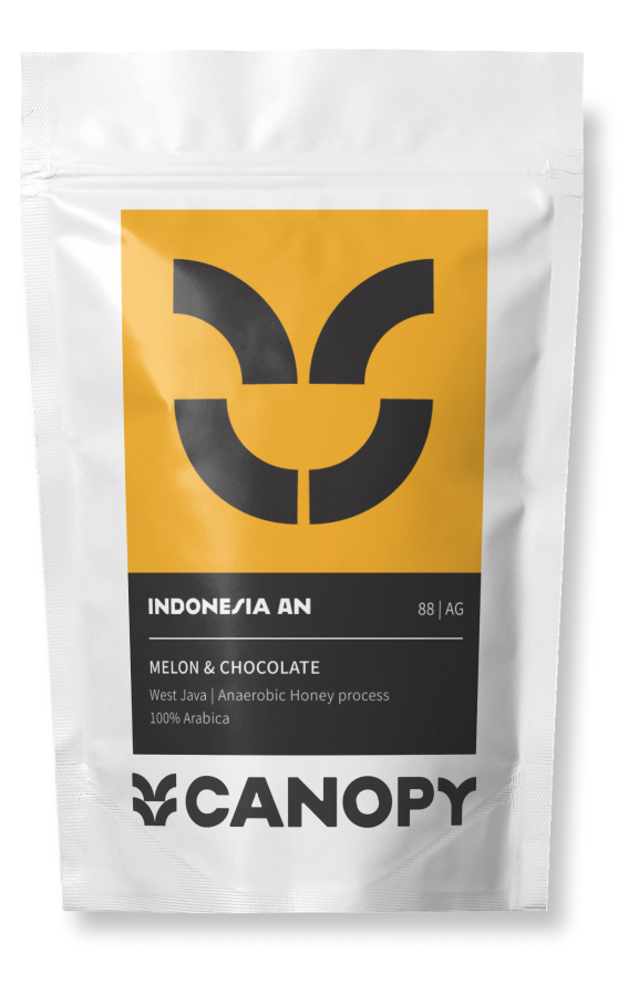 אינדונזיה אניאירובי