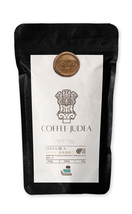 עיר דוד - קוסטה ריקה