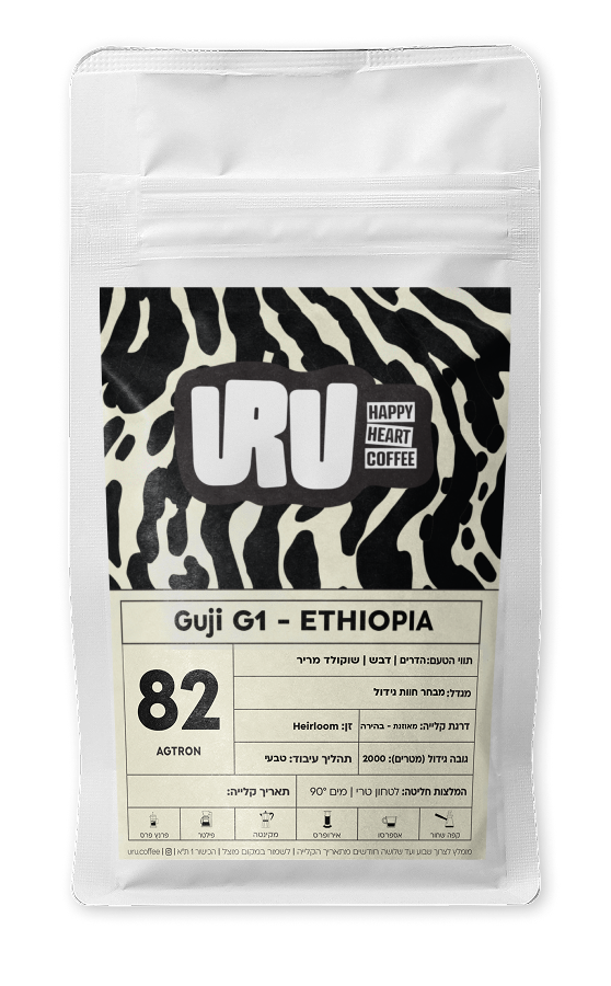 אתיופיה גוג׳י G1
