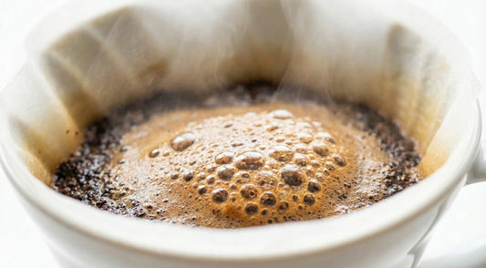 פולי קפה מומלצים לפילטר