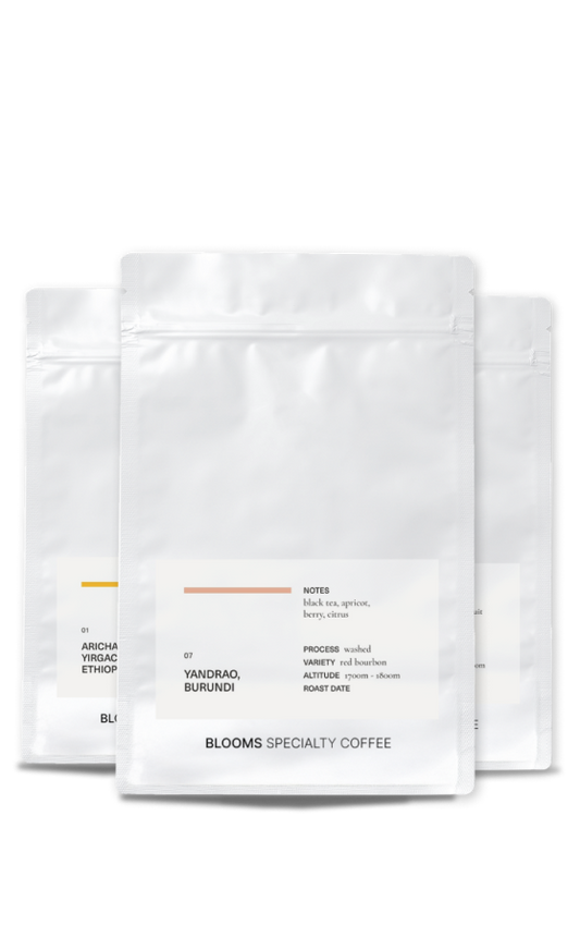 מארז אפריקאי