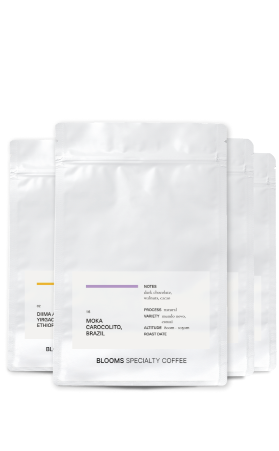 מארז היכרות בלומס