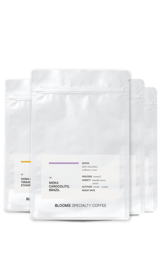 מארז היכרות בלומס