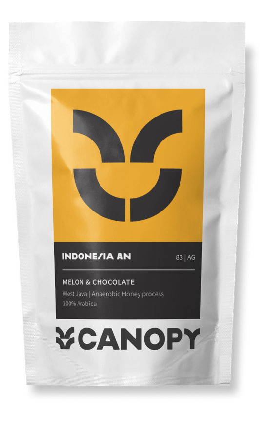 אינדונזיה אניאירובי