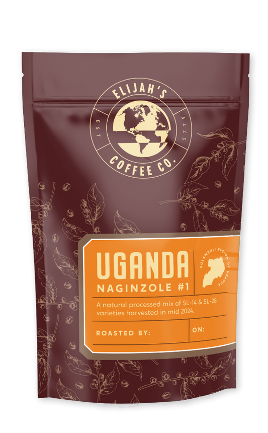 אוגנדה נגינזולה