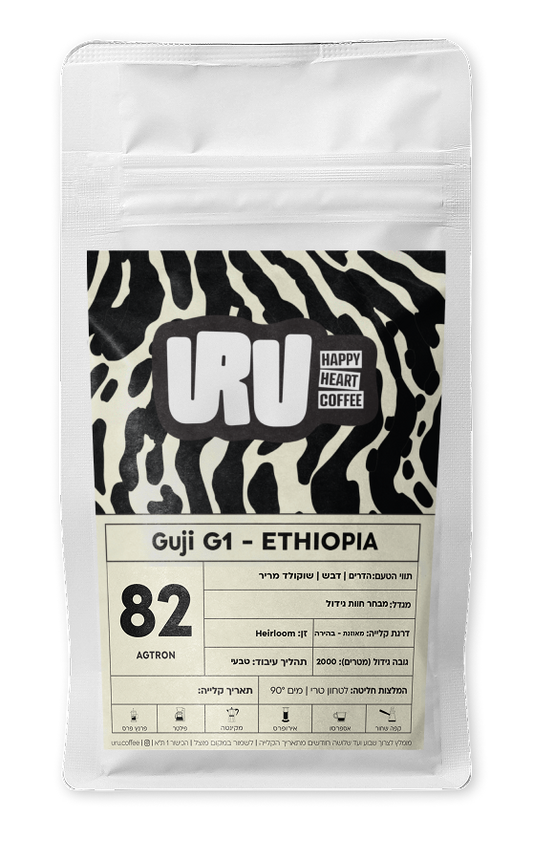 אתיופיה גוג׳י G1